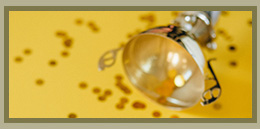 ݁ϵЮa(chn)Ʒ